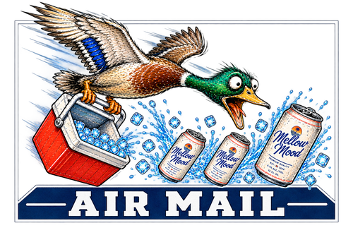 Air Mail