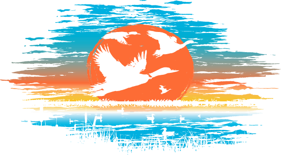 Flyway