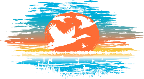 Flyway