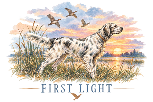 First Light