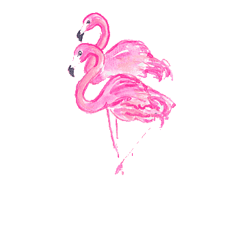 Flamingo State Of Mind