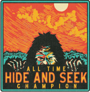 Hide And Seek Champion