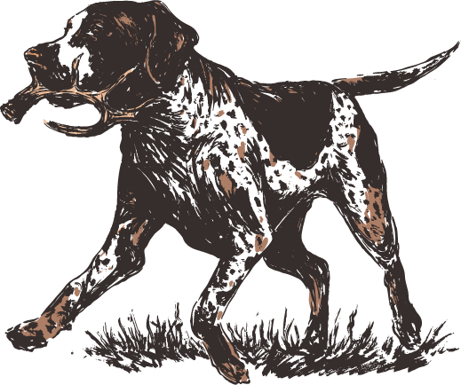 Bird Dog Youth Tee