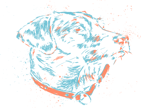 Splash Lab