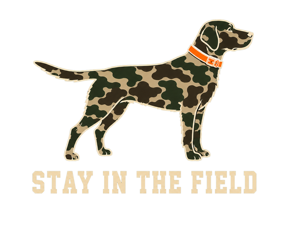 Stay In the Field