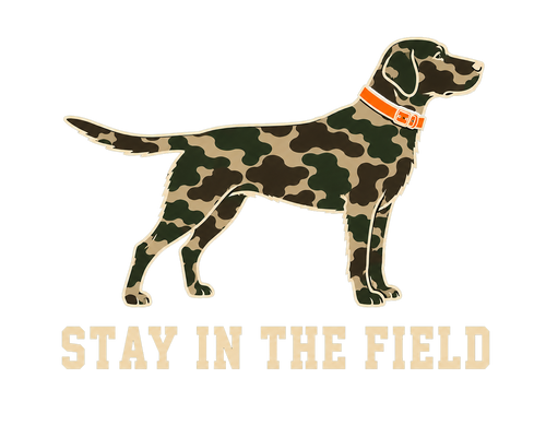 Stay In the Field
